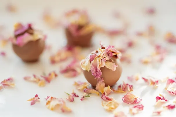 Casino Sun Palace Android/iOS App